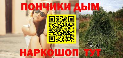 apvp Пугачёв