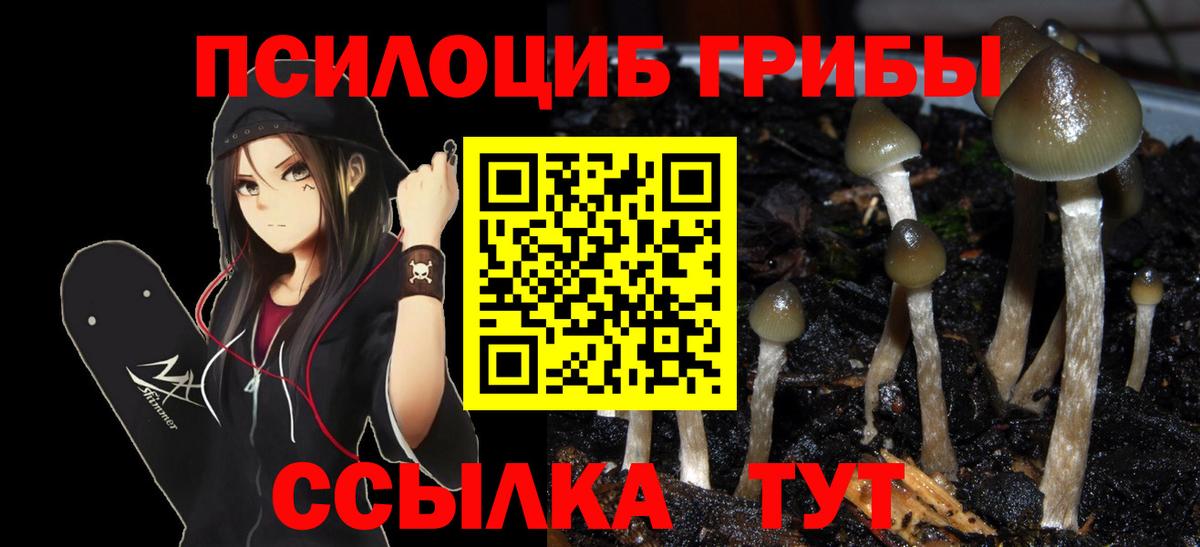 Псилоцибиновые грибы Psilocybine cubensis  Вход с VPN  Галлюциногенные грибы Psilocybe  Фурманов 