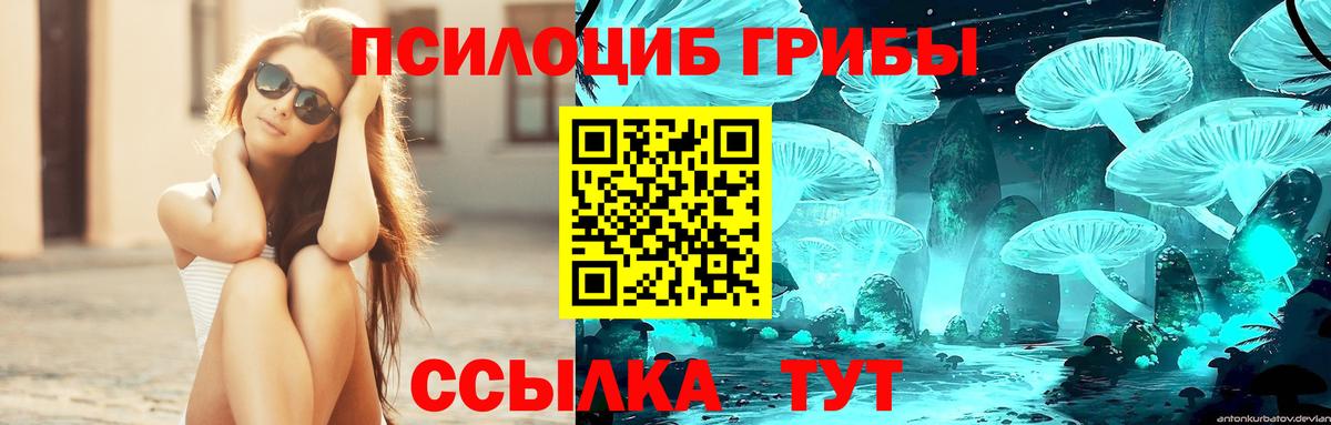Псилоцибиновые грибы мицелий Фурманов
